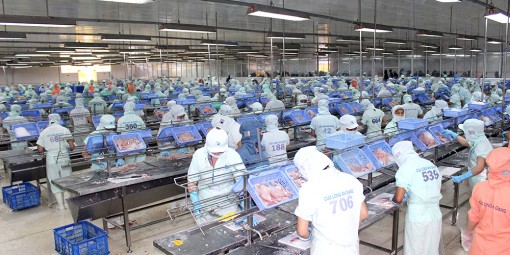 Kim ngạch xuất khẩu tăng 3,54% so cùng kỳ
