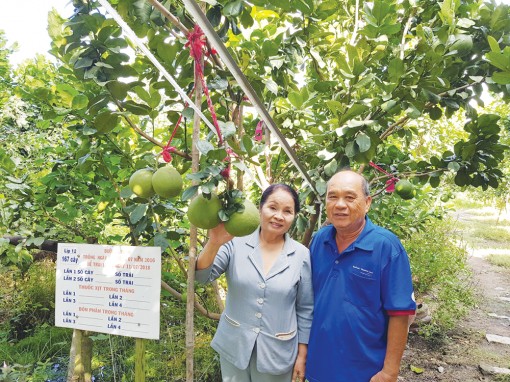 Quyết tâm tạo bứt phá nông nghiệp