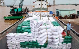 Thời cơ mới trong xuất khẩu gạo