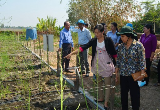 Nông dân Châu Thành thi đua sản xuất - kinh doanh giỏi