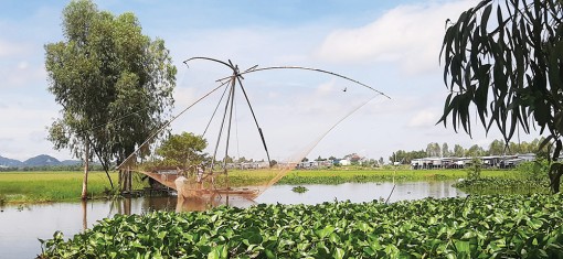 “Ngóng lũ”