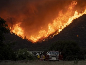Thêm 4 người thiệt mạng do cháy rừng tại Bắc California