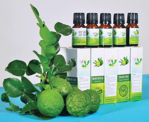 Bay xa tinh dầu trái chúc Bảy Núi