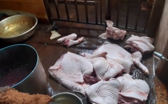 Tiêu hủy gần 1,5 tấn thịt lợn bốc mùi hôi thối