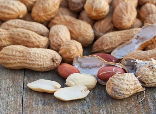 Vì sao người bệnh tiểu đường nên ăn đậu phộng?