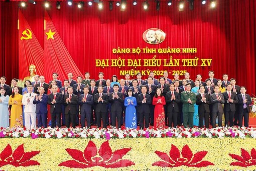 15 đồng chí được bầu giữ chức Bí thư Tỉnh ủy, Thành ủy khóa mới