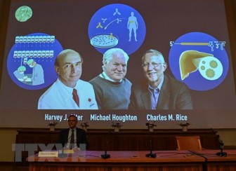 Nobel Y học 2020 vinh danh cuộc chiến chống bệnh viêm gan