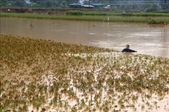Nước lũ lên cao, Lào Cai sẵn sàng sơ tán người dân