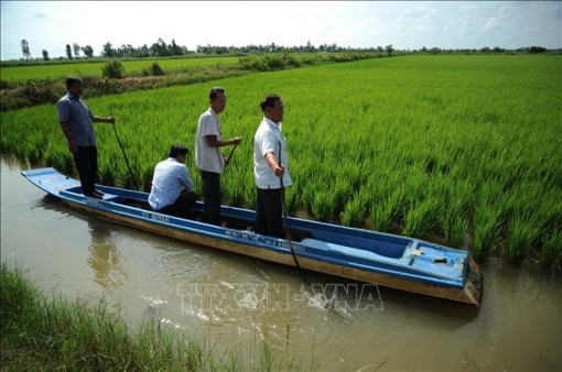 Phát triển bền vững mô hình tôm – lúa ở Đồng bằng sông Cửu Long