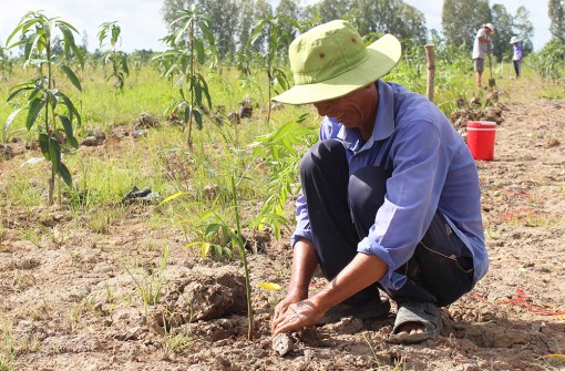 Nông dân thay đổi tư duy sản xuất để phát triển