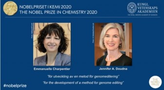 Giải Nobel Hóa học năm 2020 thuộc về hai nhà khoa học Emmanuelle Charpentier và Jenifer A.Doudna