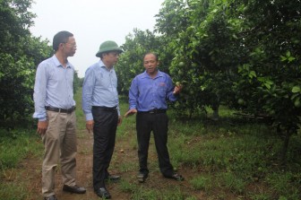 Lan tỏa động lực làm giàu cho nông dân tỉnh Nghệ An