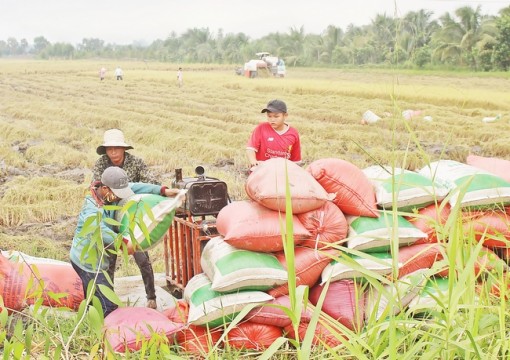 Hướng đến "Nông nghiệp thịnh vượng- Nông dân giàu có- Nông thôn văn minh, hiện đại"