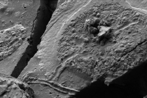 Núi lửa phun trào 2.000 năm trước biến não người thành thủy tinh