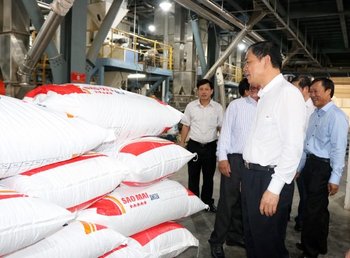 Bí quyết giúp hộ nuôi hạ giá thành sản xuất vượt bão Covid