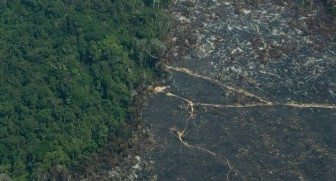 Nguy cơ rừng nhiệt đới Amazon trở thành thảo nguyên vì nạn phá rừng