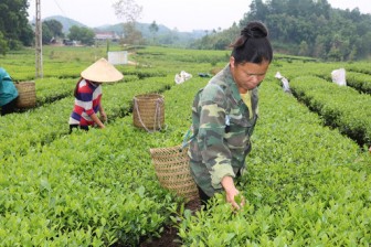 Bắc Giang: Chuyển đổi cơ cấu nông nghiệp đúng hướng, nông dân làm giàu, xuất hiện nhiều tỷ phú