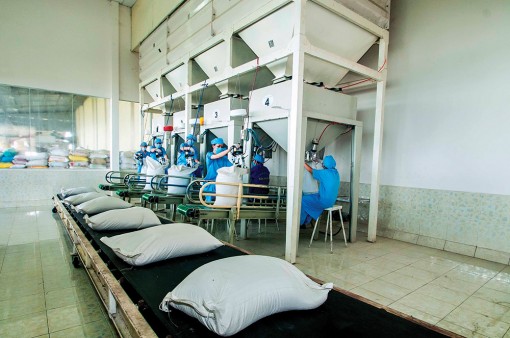 An Giang nỗ lực đưa kinh tế phát triển nhanh và bền vững
