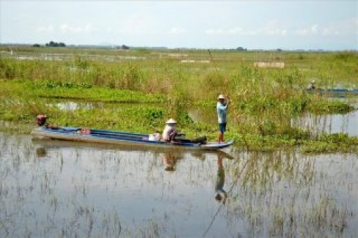 Lũ tiếp tục lên, An Giang còn mưa nhiều