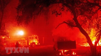 Cảnh báo nguy cơ bùng phát cháy rừng trên khắp bang California