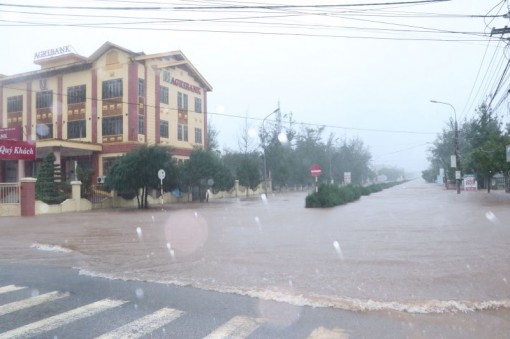 Cho học sinh nghỉ học khi cần thiết để ứng phó với bão số 7