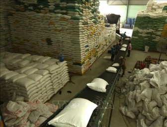 Giá gạo Việt Nam tăng, giá gạo Thái Lan giảm tuần thứ bảy liên tiếp