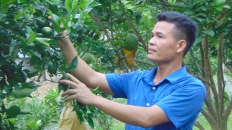Thái Nguyên: Trang trại đa cây đa con, mỗi năm ông Chủ tịch đút túi 400 triệu