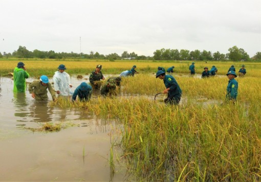 Cà Mau tìm cách hỗ trợ dân khôi phục sản xuất sau thiên tai