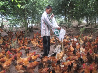 Thái Bình: Giúp nông dân sản xuất giỏi, làm giàu từ những cách này đây