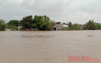 100 nghìn USD hỗ trợ khẩn cấp người dân miền trung bị ảnh hưởng của lũ lụt