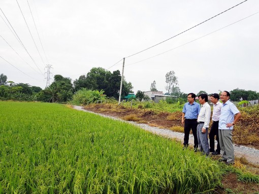 An Giang triển khai Nghị quyết Đại hội Đảng trong ngành nông nghiệp