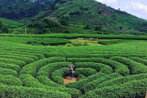 ''Trải nghiệm sắc màu Sơn La'' - Kết nối du lịch Hà Nội-Sơn La