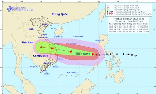 Bộ Quốc phòng triển khai công tác phòng chống, ứng phó với bão số 9
