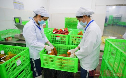 Có thể xuất siêu 7 tỷ USD trong năm nay