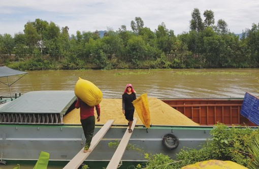 Tri Tôn tập trung vào tăng trưởng nông nghiệp