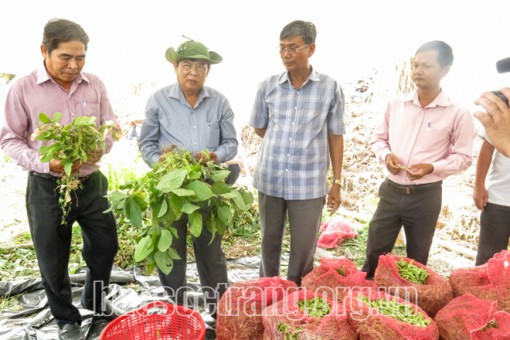 Nông nghiệp Sóc Trăng phát triển toàn diện qua một nhiệm kỳ