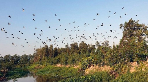 Hậu Giang mời gọi trải nghiệm khám phá thiên nhiên