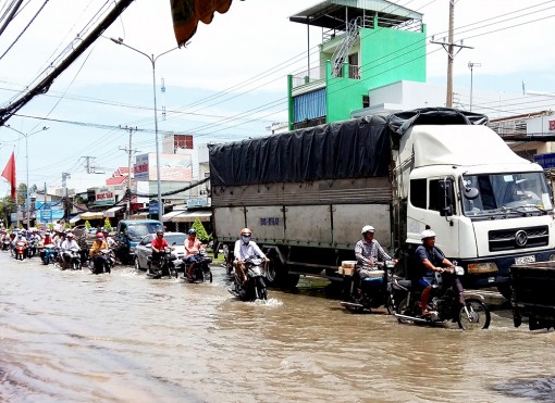 Đề xuất Đan Mạch hỗ trợ trong lĩnh vực môi trường, ứng phó biến đổi khí hậu