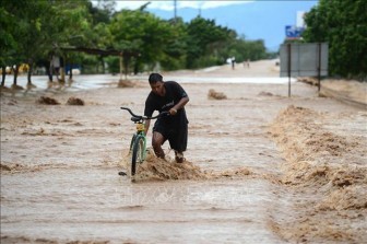 Gia tăng số người thiệt mạng tại Mexico và Honduras do bão Eta