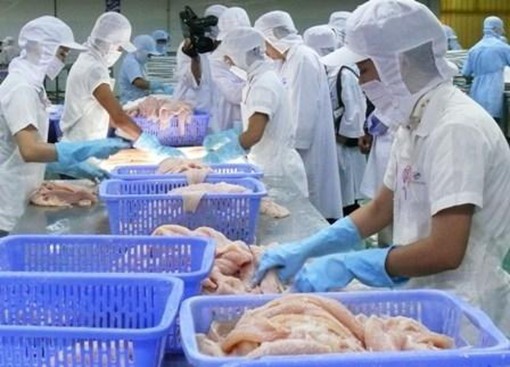 Dự báo xuất khẩu thủy sản năm 2020 đạt trên 8 tỷ USD
