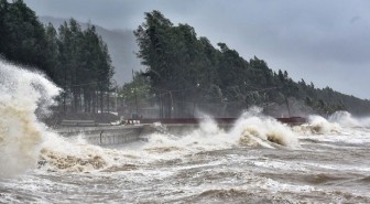 Các tỉnh từ Thanh Hóa đến Bình Thuận khẩn trương ứng phó bão Vamco