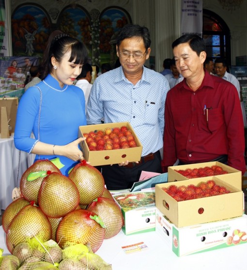 Vĩnh Long: Giải pháp "cứu" đầu ra cho nông sản