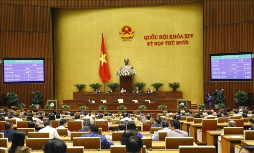 Thông qua Nghị quyết về tham gia lực lượng gìn giữ hòa bình của Liên hợp quốc