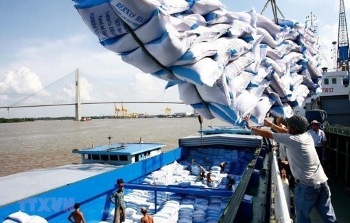 Triển khai nhiều giải pháp hỗ trợ doanh nghiệp xuất khẩu gạo sang EU