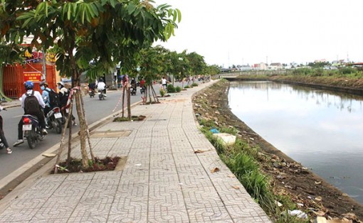 TP Cần Thơ: đỉnh triều đầu tháng 10 âm lịch là đợt triều cường lớn nhất trong năm