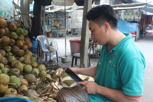 "Khoác áo mới" cho dừa