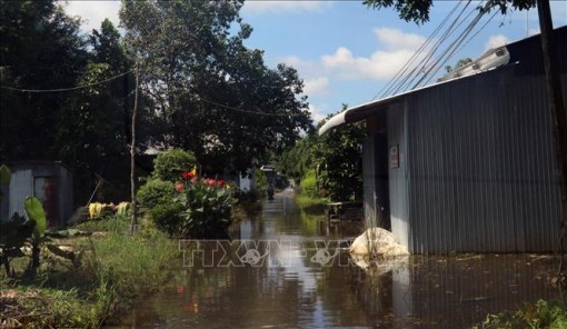 Hỗ trợ các hộ dân Kiên Giang bị thiệt hại do thiên tai