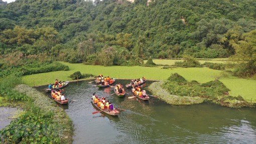 Khám phá vẻ đẹp nguyên sơ kỳ thú tại vườn chim Thung Nham