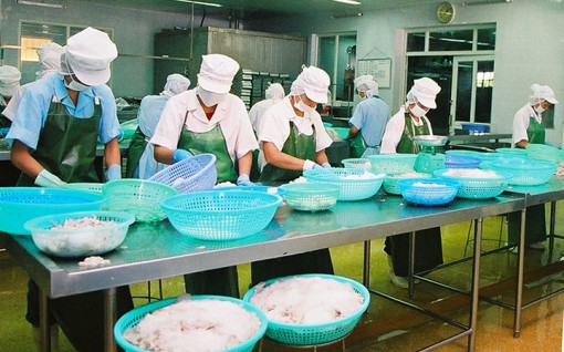 Cơ hội thiết lập thị trường xuất khẩu ổn định