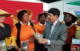Mozambique ca ngợi Việt Nam với vai trò Ủy viên không thường trực HĐBA